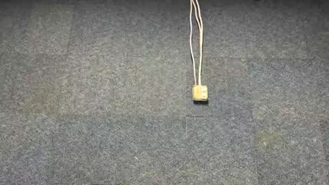 Brian online show from December 3, 7:01 pm