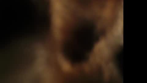 Snapshot of cumongiselle chatting on October 25, 7:41 pm Giselle online show from October 25, 7:41 pm