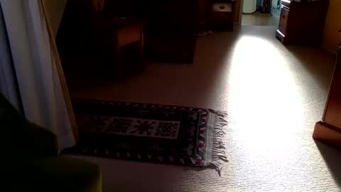 Snapshot of cumonherguys chatting on October 28, 8:29 am cumonherguys online show from October 28, 8:29 am