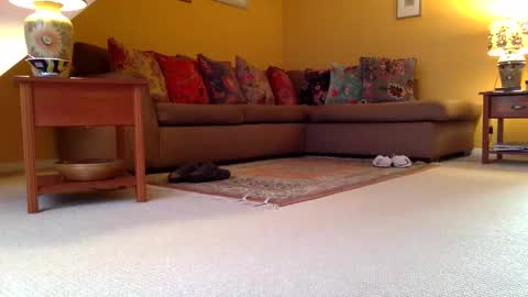 Snapshot of cumonherguys chatting on November 7, 8:25 am cumonherguys online show from November 7, 8:25 am