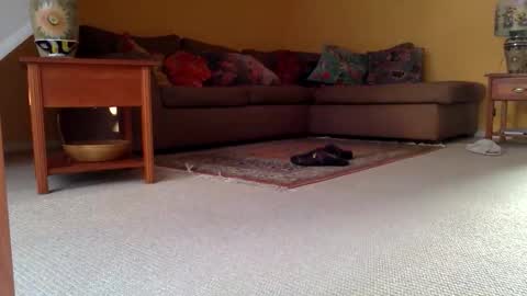 Snapshot of cumonherguys chatting on November 17, 9:37 am cumonherguys online show from November 17, 9:37 am