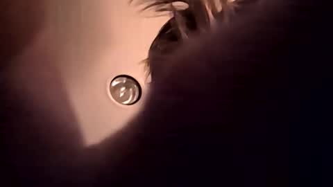 cumupxxx online show from November 17, 11:49 am