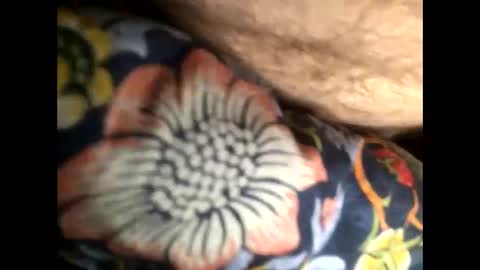 Steve online show from January 20, 7:04 am