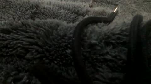 Steve online show from January 23, 11:15 pm