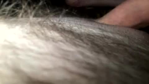 Steve online show from January 28, 4:18 am