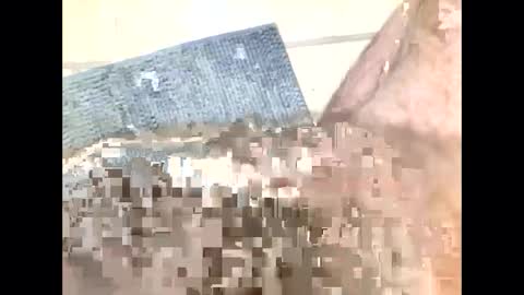 Steve online show from February 13, 11:37 pm