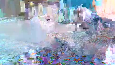 cute_savanna online show from February 11, 8:19 am