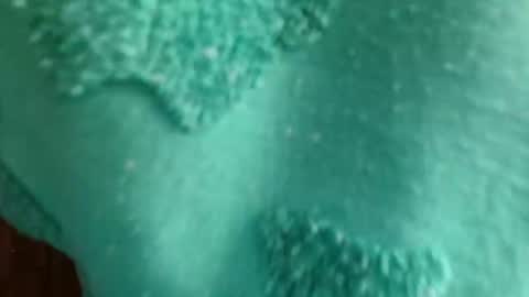 Snapshot of cutebuu chatting on November 21, 8:51 pm cutebuu online show from November 21, 8:51 pm