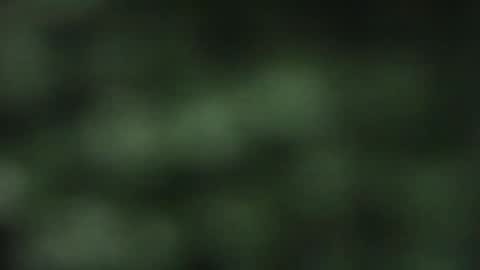 cuteeboy online show from October 18, 8:09 pm