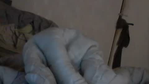 Snapshot of cutekattie chatting on December 6, 10:05 am cutekattie online show from December 6, 10:05 am