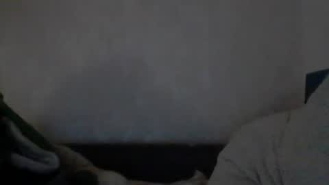 Snapshot of cutekattie chatting on December 9, 8:00 am cutekattie online show from December 9, 8:00 am