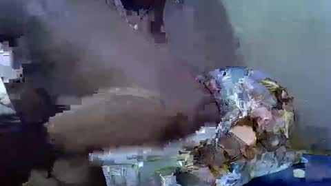 Snapshot of cutesexy44 chatting on October 18, 7:09 am cutesexy44 online show from October 18, 7:09 am