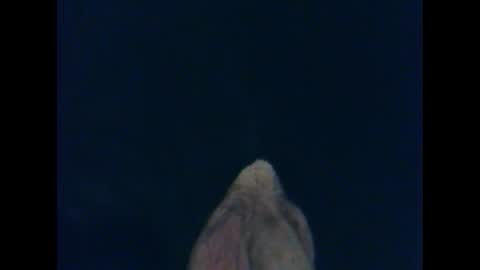 CutieBoy online show from October 26, 1:33 am