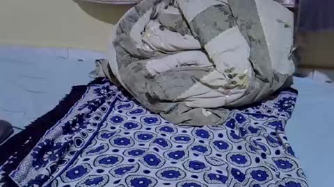 cuttepappy online show from June 15, 8:22 pm