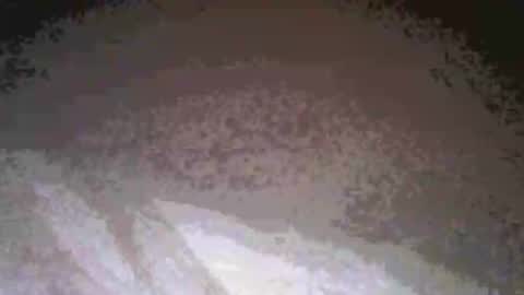 Snapshot of cwill27837 chatting on February 26, 3:38 am cwill27837 online show from February 26, 3:38 am