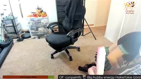 Cynpai online show from November 17, 4:40 am