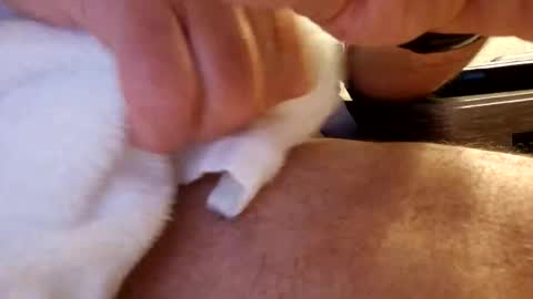 Snapshot of daaavy11 chatting on February 19, 2:18 am daaavy11 online show from February 19, 2:18 am