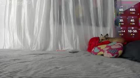 daani_hott online show from January 9, 4:15 am