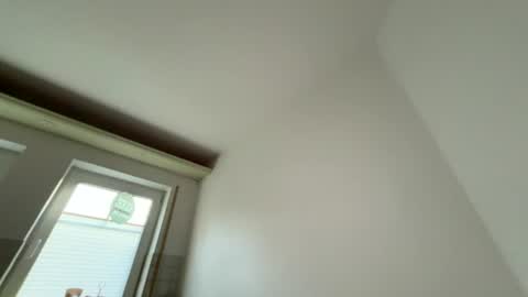 Dachdecker online show from August 2, 4:00 am