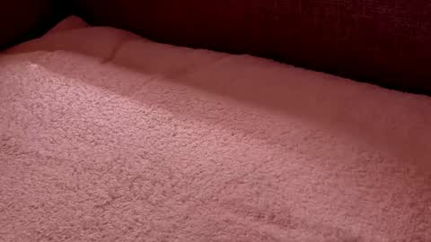 Snapshot of dad_next_door chatting on February 27, 9:58 pm Richard online show from February 27, 9:58 pm