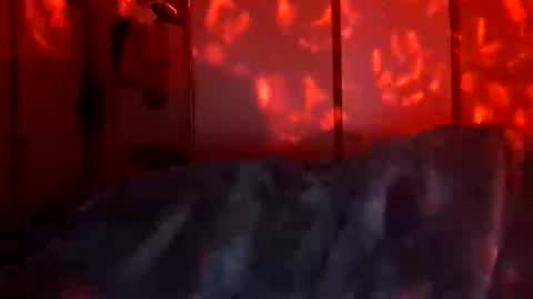 Snapshot of daddett chatting on December 18, 9:48 am Daddett iS Wett online show from December 18, 9:48 am