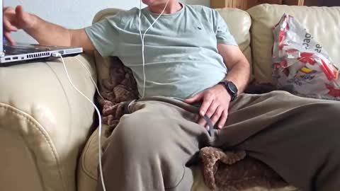 daddy33383 online show from October 4, 11:41 am