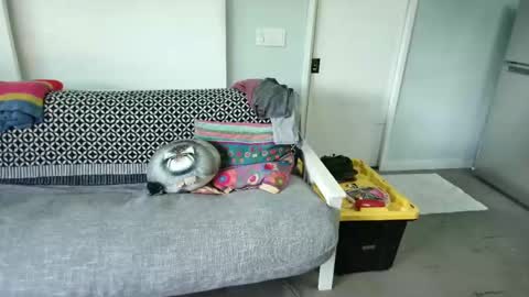 bas online show from October 27, 8:35 pm