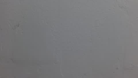 Dakota Johnson online show from November 8, 6:40 pm