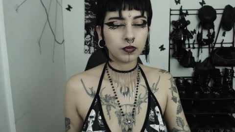 Snapshot of dakota_krall_ chatting on November 12, 2:12 am dakota online show from November 12, 2:12 am