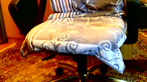 Snapshot of dammerl6 chatting on January 15, 8:20 am Dammerl online show from January 15, 8:20 am