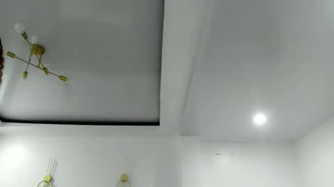 damnperfectxx online show from November 20, 1:06 am