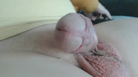 Damocles online show from October 20, 12:49 pm