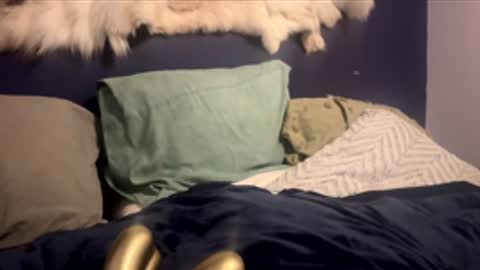 damontsi online show from February 24, 2:48 pm