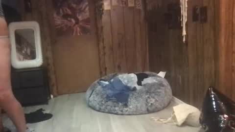 DanaMaris666 online show from September 25, 7:28 pm