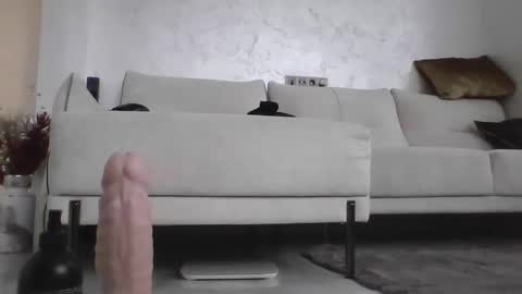 Dan online show from January 15, 9:13 am