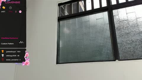 DANI online show from December 13, 10:13 pm