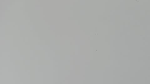 Snapshot of daniel_kingxxx chatting on March 2, 12:34 pm daniel_kingxxx online show from March 2, 12:34 pm