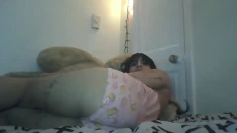 Snapshot of danielatrans662135 chatting on February 9, 12:39 am DANIELA online show from February 9, 12:39 am