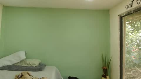 danielitopapii online show from January 16, 4:00 pm