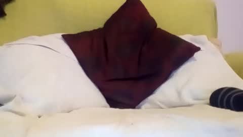 daniroca8 online show from February 17, 6:36 pm