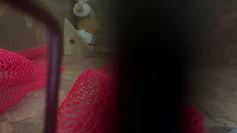 Snapshot of dankcock69420 chatting on November 17, 5:24 am dankcock69420 online show from November 17, 5:24 am