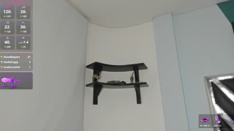 Danna online show from December 19, 6:56 am