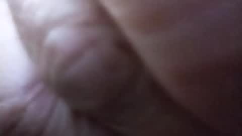 dannowisc online show from June 27, 3:06 pm