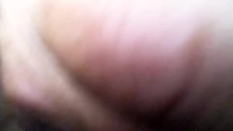 dannowisc online show from July 5, 11:06 am