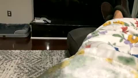 dannyboy621 online show from October 30, 9:33 am