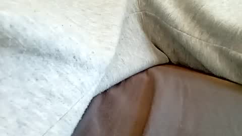 danydickontin online show from July 25, 10:46 am