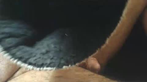 dapppper online show from March 11, 10:21 am