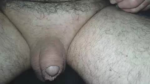 dapppper online show from June 5, 2:18 am
