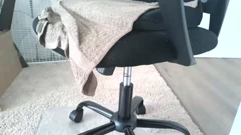 dapppper online show from June 13, 12:14 pm
