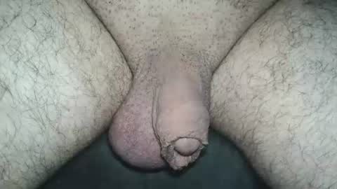 dapppper online show from July 12, 1:51 am